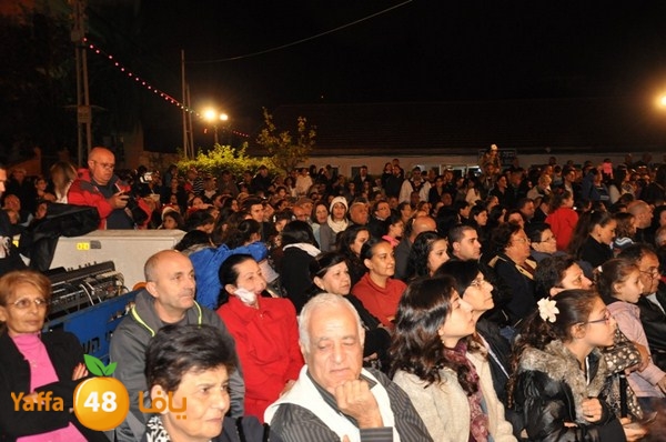 tree light 1208 (3).JPG